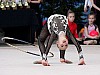 gim.gryf.2010_042