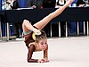 gim.gryf.2010_083